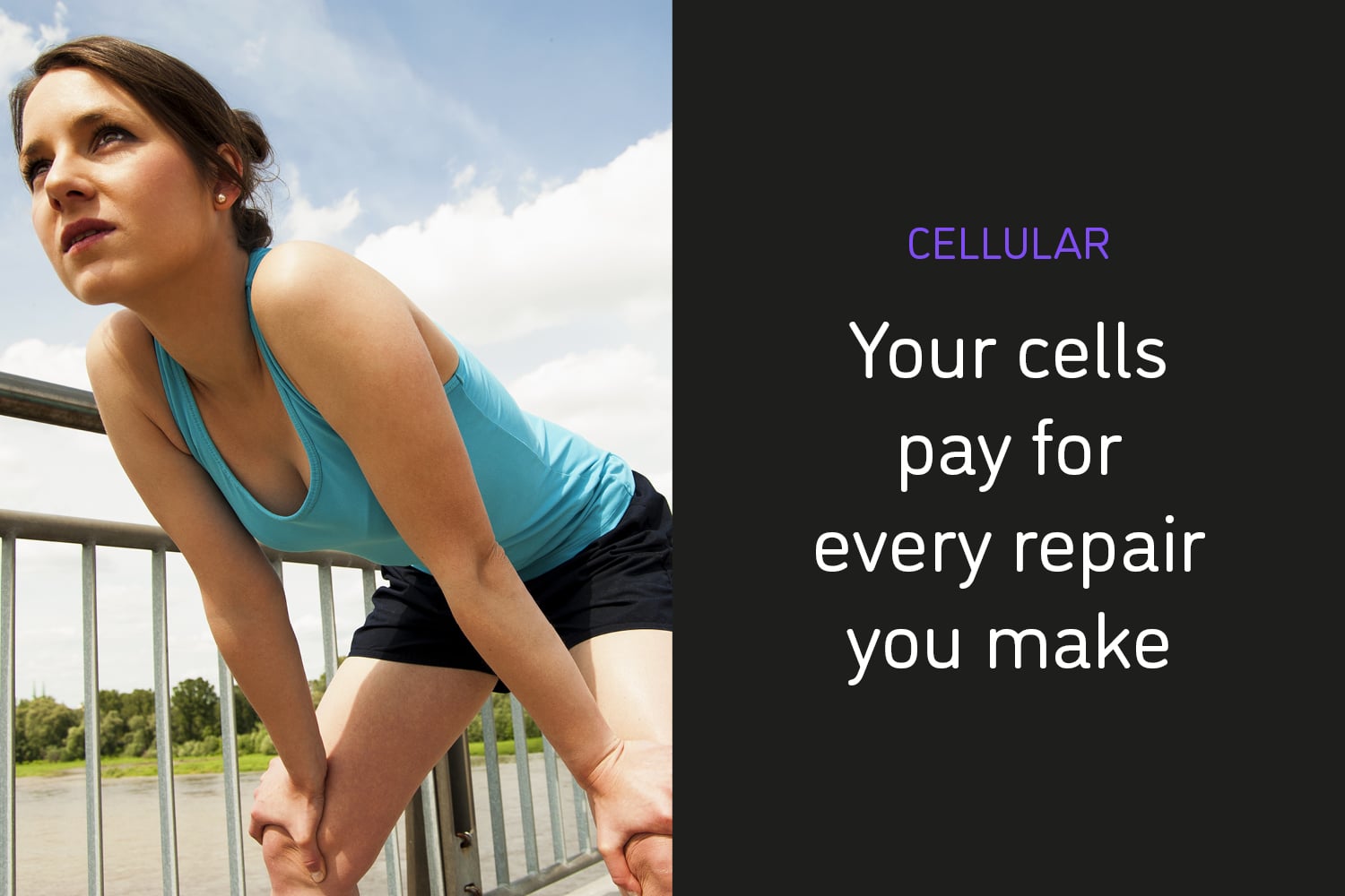 Your Cells Pay for Every Repair You Make